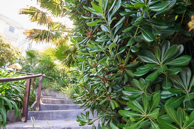 Hotel Corallo, Imperia, Italy