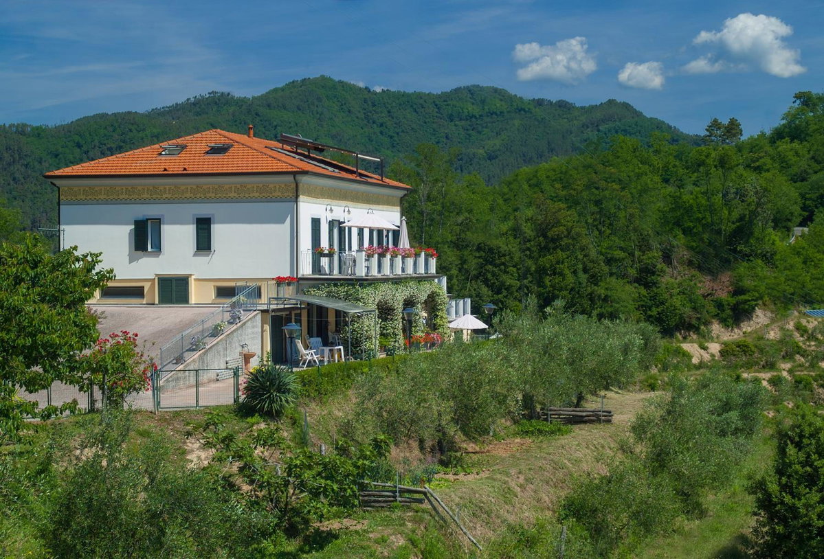 Gli Ulivi Di Montalbano, Italy