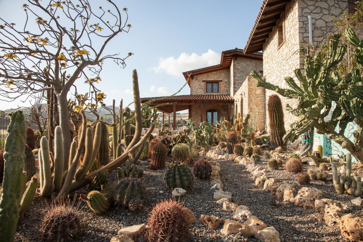 Garden Cactus, Italy