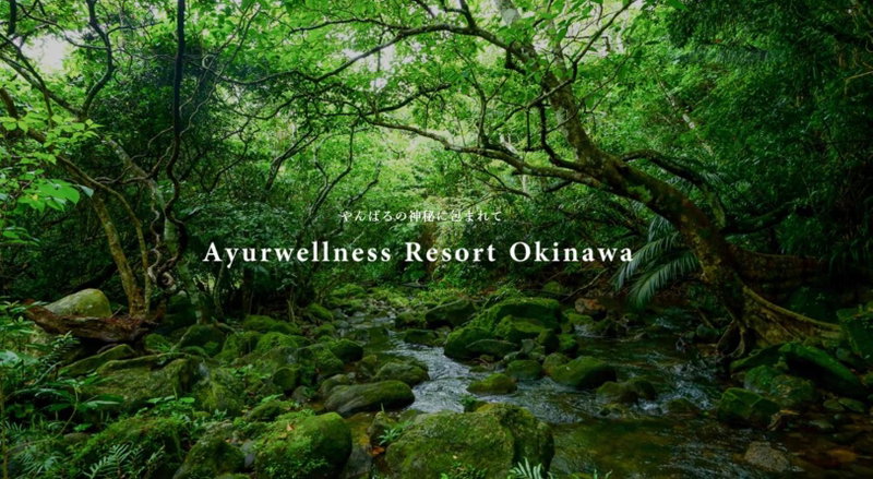 Ayurwellness Resort Okinawa, Motobu, Japan