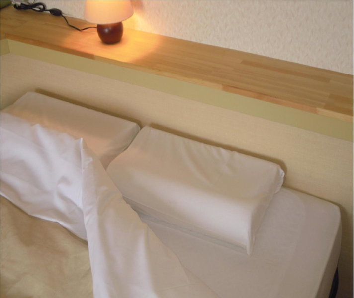 Niigata Park Hotel, Niigata, Japan