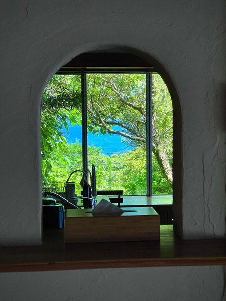 Shobuzawa Log, Kawazu, Japan