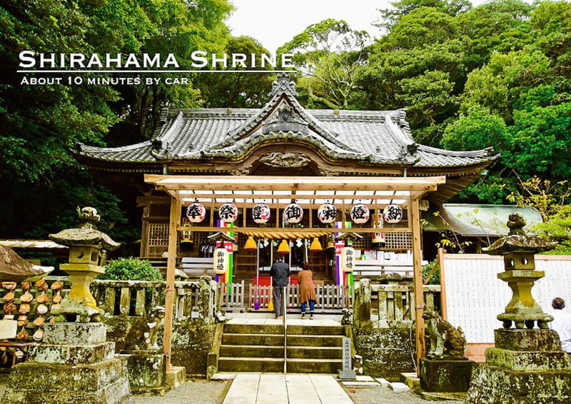 Shobuzawa Log, Kawazu, Japan