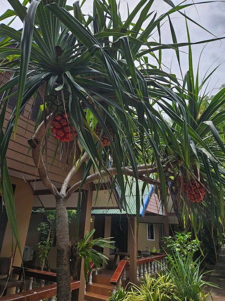 Lanta Riviera Beach Resort, Ko Lanta, Thailand