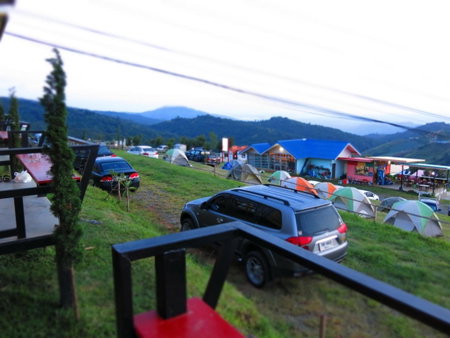 ไร่กะหล่ำหวาน ภูทับเบิก, Ban Phu Pun, Thailand