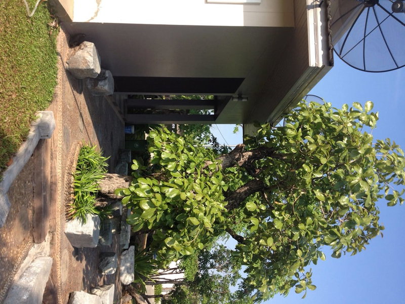 Green Garden Resort, Nakhon Ratchasima, Thailand