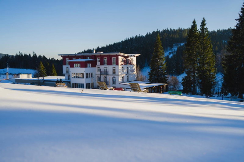 Das Waldhotel - Genuss & Wellness am Notschreipass, Todtnau, Germany