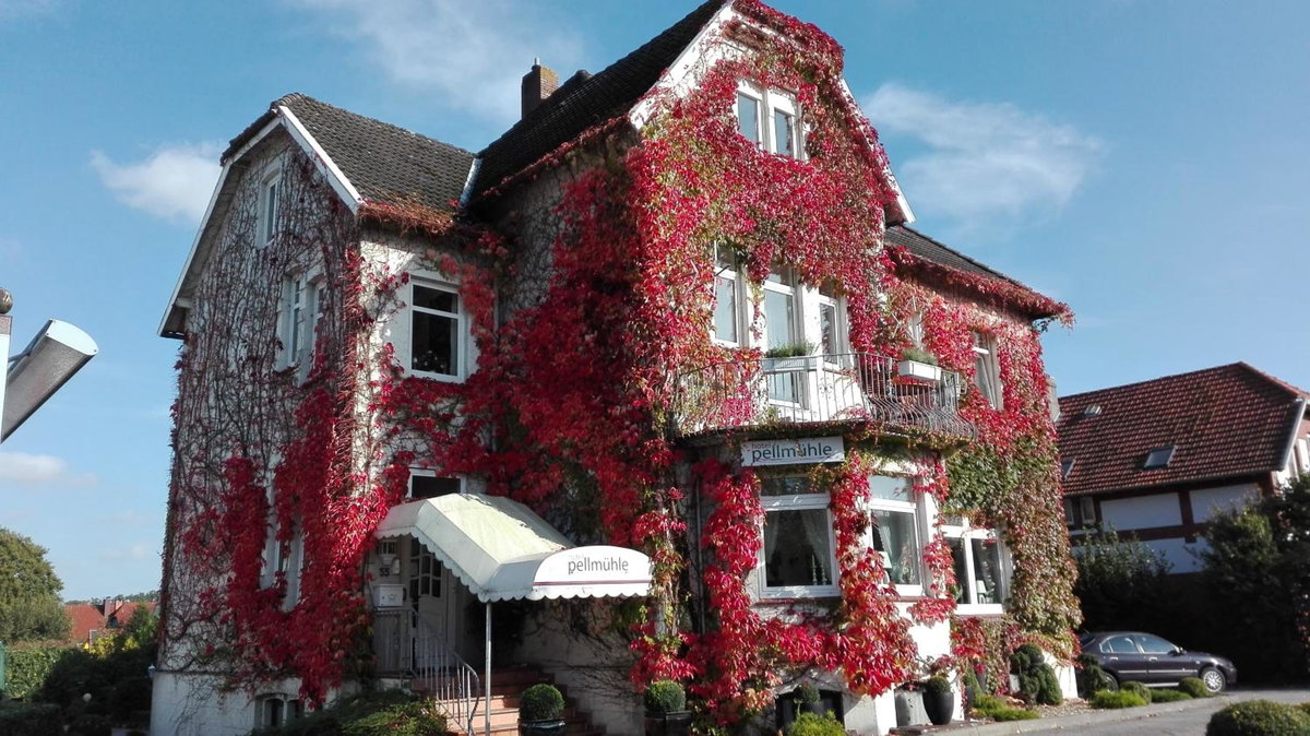 Hotel Pellmühle, Germany