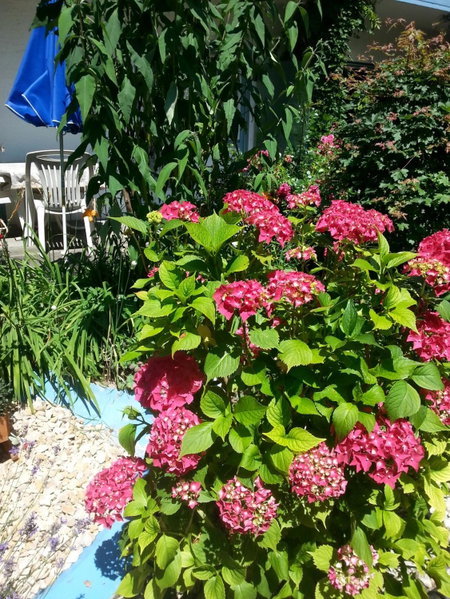Hotel Park Eden, Bad Bellingen, Germany