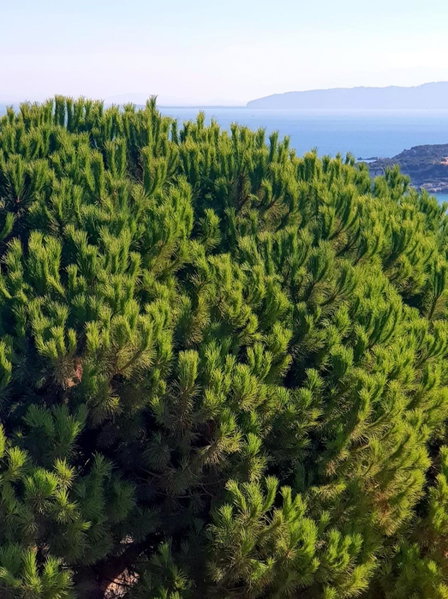 NORTH WIND HOTELS - Karaburun, Karaburun, Turkey