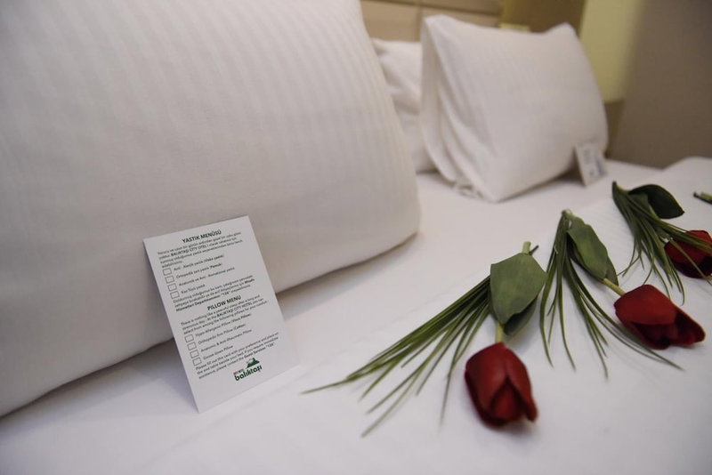 Baliktasi City Hotel, Ordu, Turkey