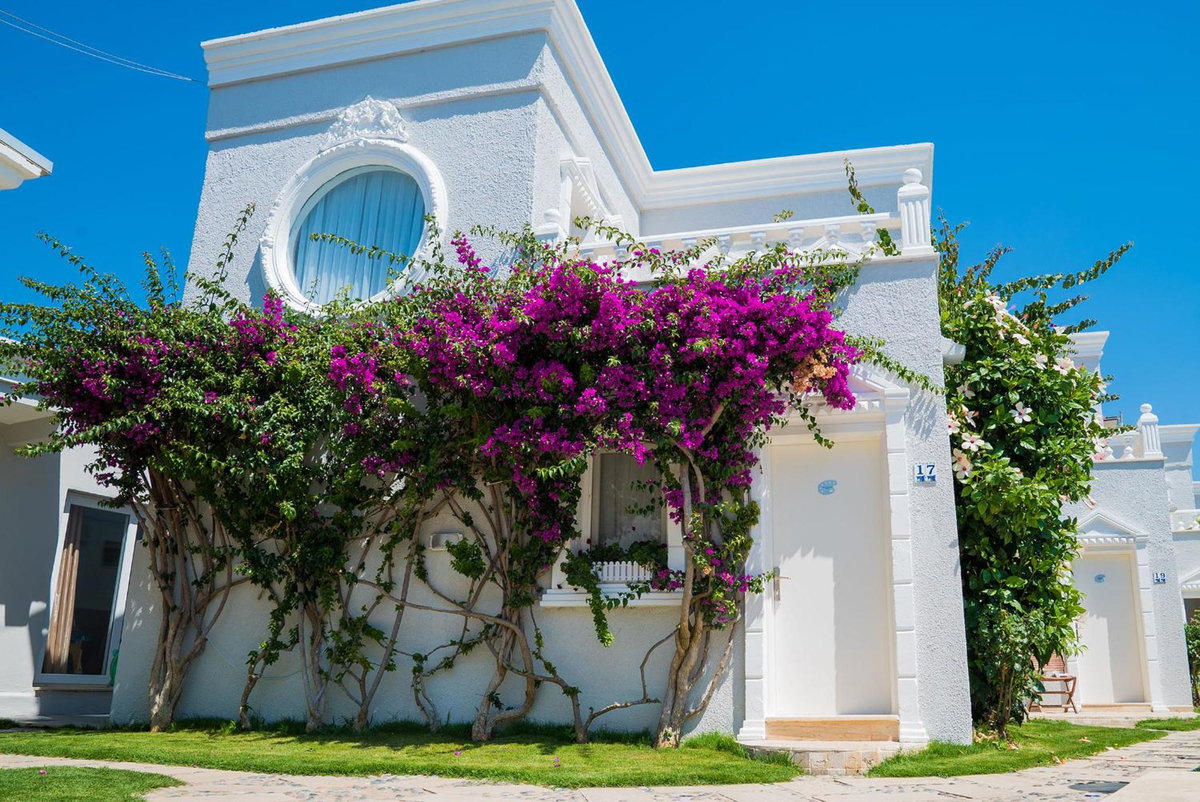 Hotel · Art Suites Hotel, Yalıkavak