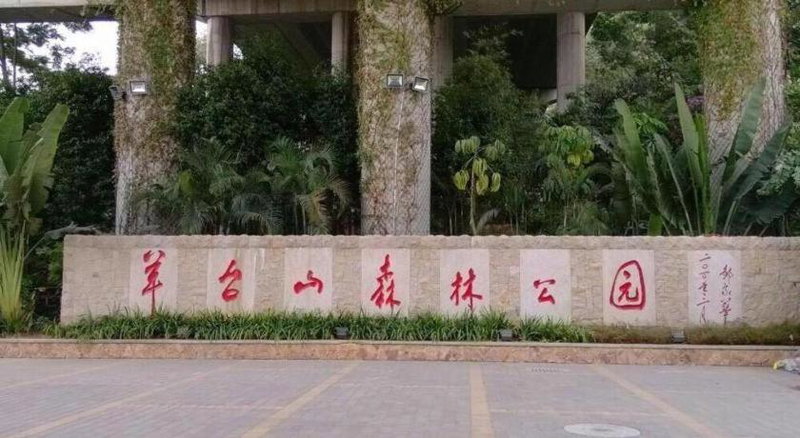 Lavande Hotel Shenzhen North Station Huawei Gangtou Metro Station, Tiantangwei, China