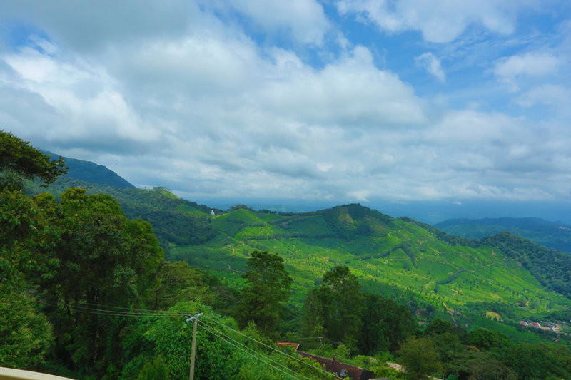 The Cliff Resort, Munnar, Munnar, India