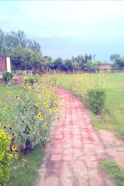 The New Swaraj Resort, Bharatpur, India