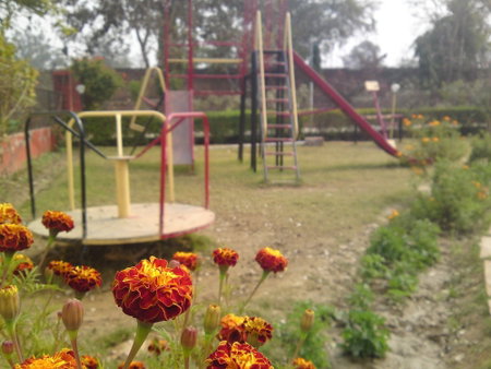 The New Swaraj Resort, Bharatpur, India