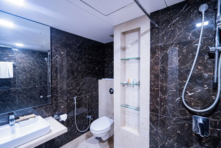 Hotel Mayura, Raipur, India