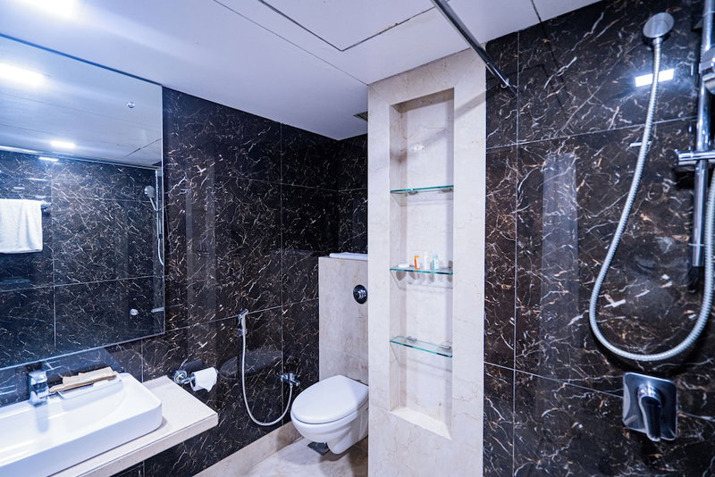 Hotel Mayura, Raipur, India