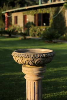 Cedar Lodge By Aahma, Rāmgarh, India