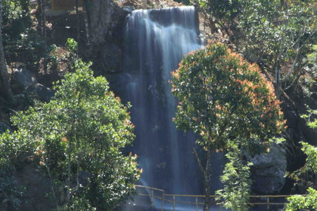 Vythiri Village, Vythiri, India