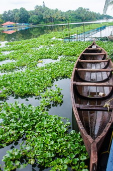 Muralee's Riverside Villa in Kochi, Cochin, India