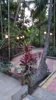 Nivaant @ Vicharays, Alibag, India