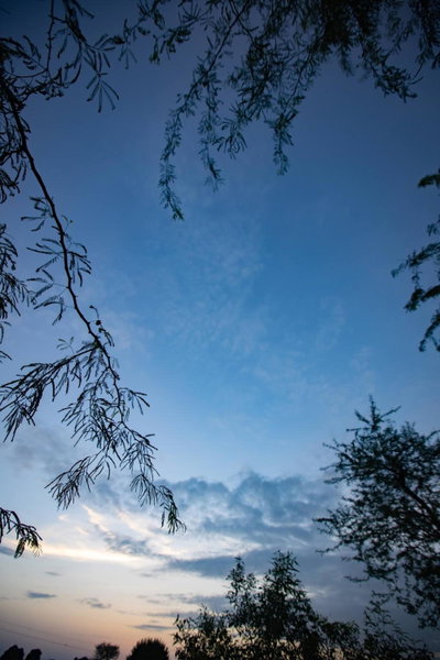 Nature Village Resort, Pushkar, India