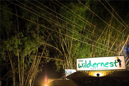 Wildernest, Thekkady, India