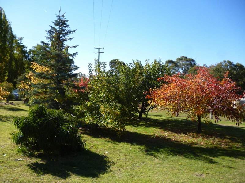 Woodvale at Cooma, Cooma, Australia