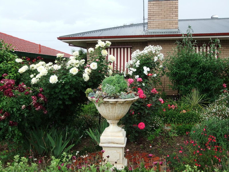 Admurraya House Bed & Breakfast, Rutherglen, Australia