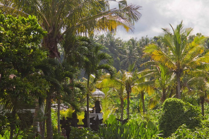 Jasri Dalem Surf Retreat, Jasri, Indonesia