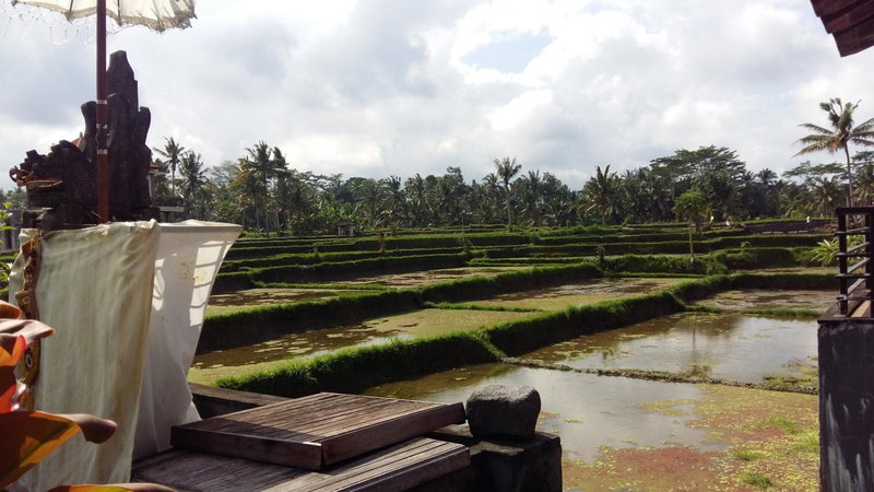 Pondok Anastasia, Ubud, Indonesia