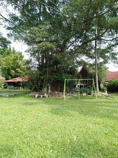 Bagus Bay Homestay, Tuk Tuk, Indonesia