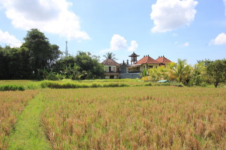 SUARA SIDHI Villa Ubud Bali, Ubud, Indonesia