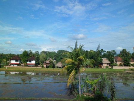 Nuriani Rooms, Ubud, Indonesia