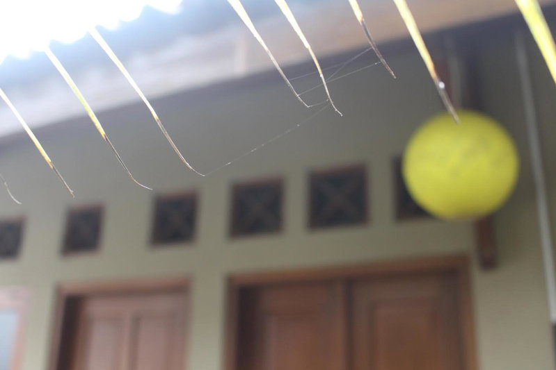 Rumah Pathuk Syariah Homestay, Yogyakarta, Indonesia