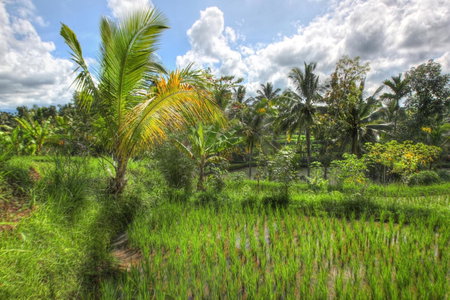 Bello Bungalow, Batukliang, Indonesia