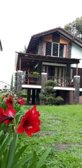Villa Elisabeth at Villa Istana Bunga, Bandung, Indonesia