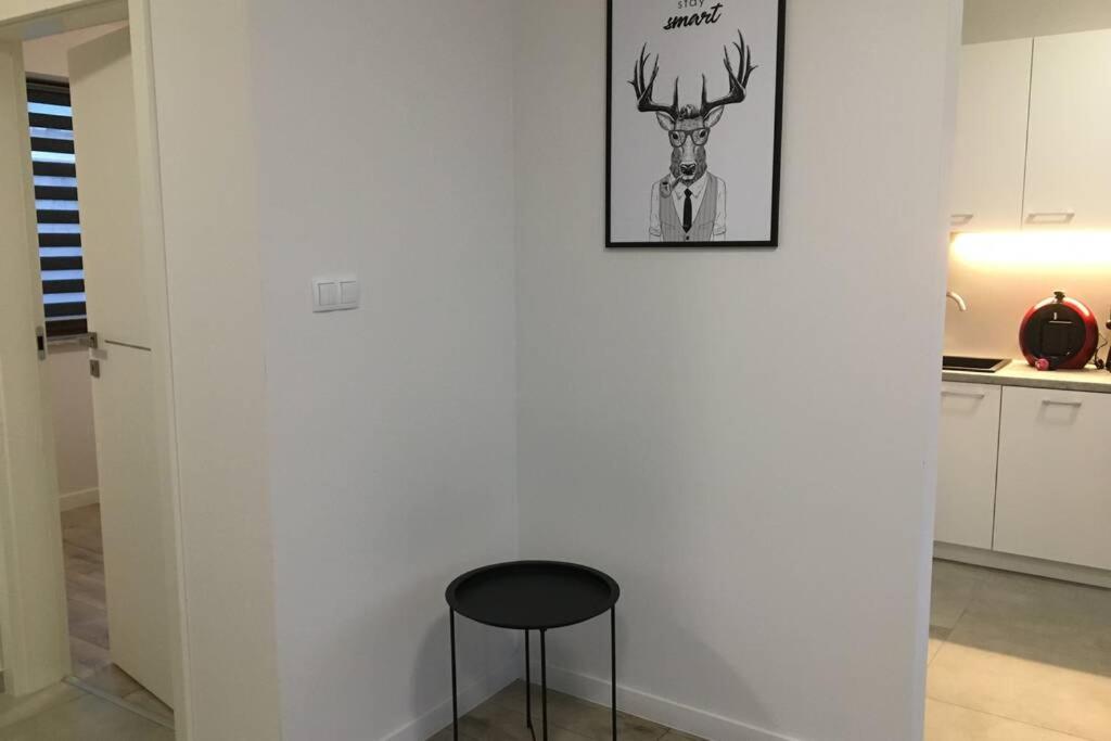 Apartament Fibra Americano, Polonia
