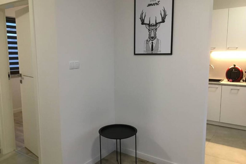 Apartament Fibra Americano, Rybnik, Poland