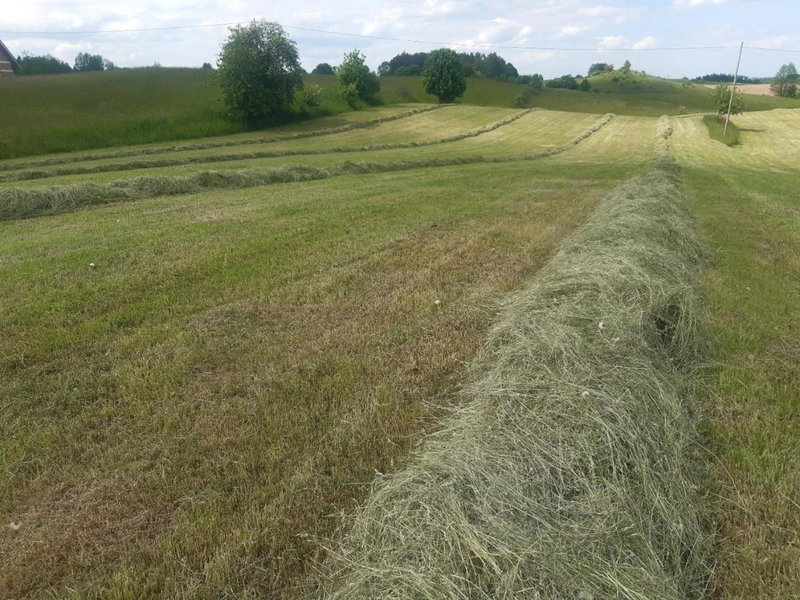 Domek w Kwiatach, Mrągowo, Poland