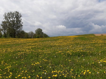 Domek w Kwiatach, Mrągowo, Poland