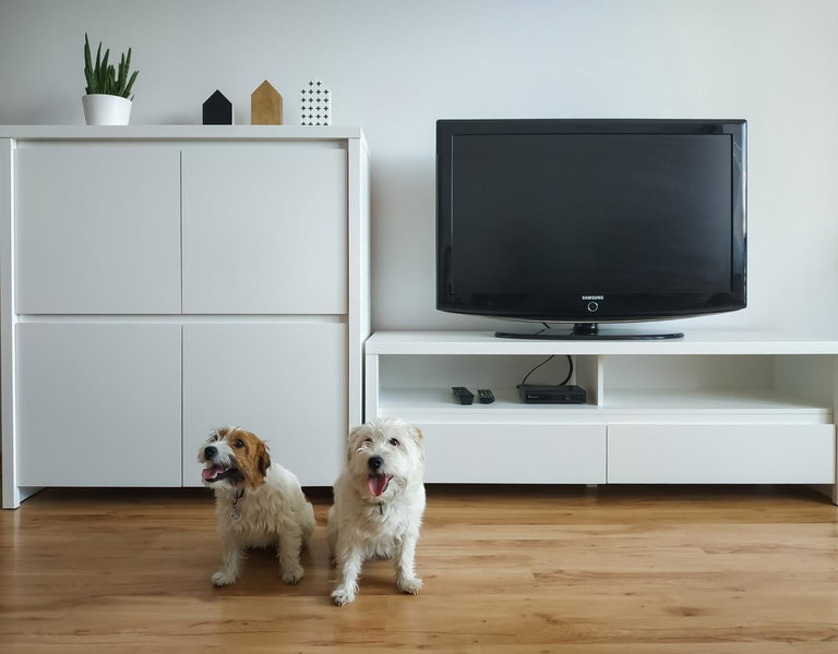 Uroczy Apartament Pod Skarpą, Wadowice, Poland