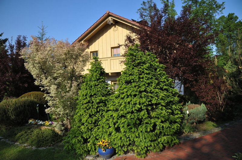 Duży apartament w Karpaczu, cisza, parking, balkon lub taras, zieleń, plac zabaw, sklep 5min, Karpacz, Poland