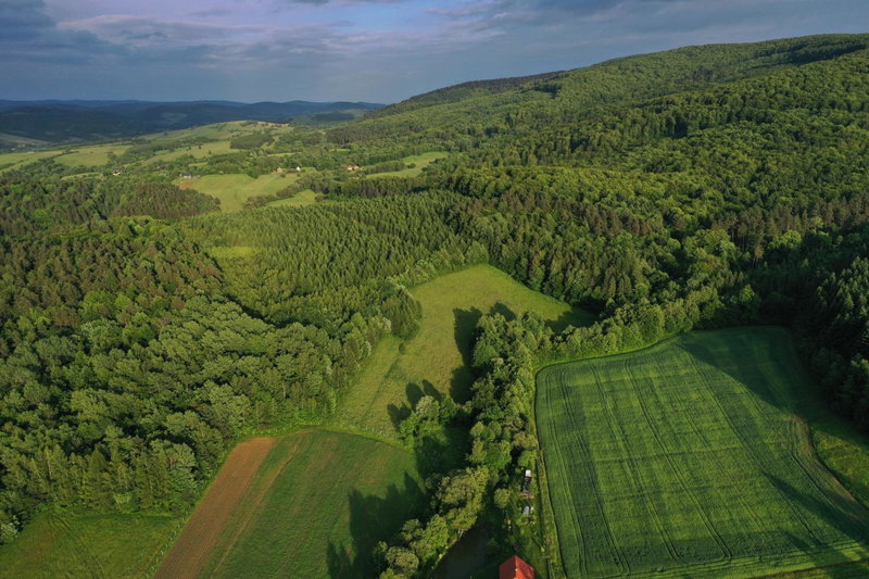Domek z widokiem, Sanok, Poland