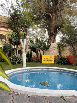 Hotel Plateados Oaxtepec, Oaxtepec, Mexico