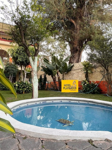 Hotel Plateados Oaxtepec, Oaxtepec, Mexico
