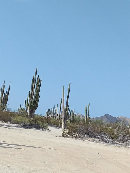 Departamento Irene, San Felipe, Mexico