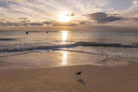 Areia Playa del Carmen-Beach front Hotel, Playa del Carmen, Mexico