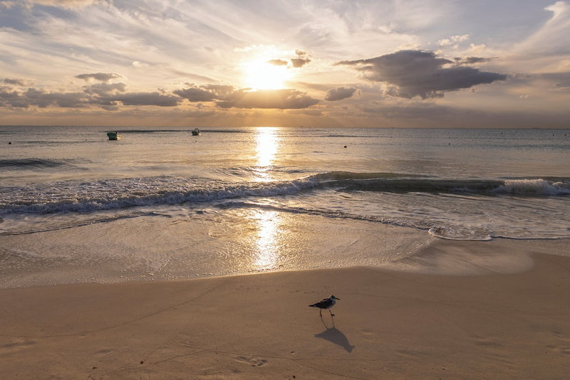 Areia Playa del Carmen-Beach front Hotel, Playa del Carmen, Mexico